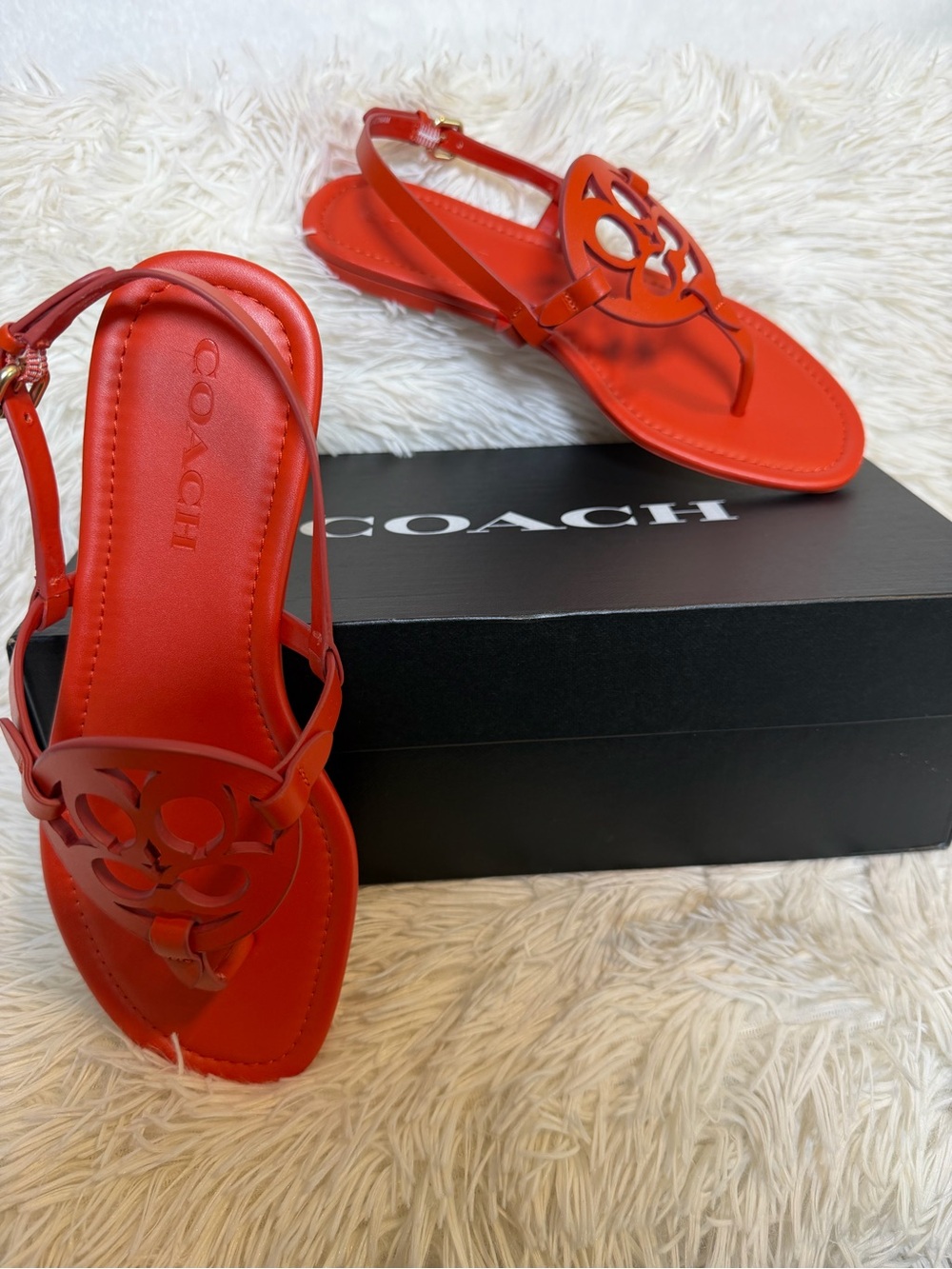 Make a vibrant statement with these gorgeous COACH "Jaci" T-Strap Sandals! - Picture 5 of 10